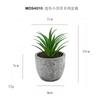 Em estoque simulação carnuda pequena sabgrass vaso desktop pequenos ornamentos presente mini bonsai verde TEMU simulação planta