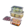 Caja de Almacenamiento, Caja de Almacenamiento Refrigerada, Caja Organizadora, Caja para Preparación de Carne Congelada en Refrigerador, Lonchera, Caja de Almacenamiento Refrigerada