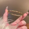 Pulsera de Diamantes Micro-incrustados de Lujo Ligero y Sensación de Alta Gama para Mujer, Pulsera Sencilla de Moda de Acero de Titanio que no se Decolora, para Pareja, Combinable con Todo, Primera Joya