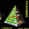 Nova Versão de 2022 do Modelo da Pirâmide Alimentar Equilibrada para Residentes Chineses Modelo da Pirâmide de Porções de Troca Alimentar