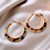 2026 Aretes de Aro Lisos Sencillos Estilo Nuevo con un Diseño Exagerado, Versátiles y Elegantes, Aretes de Lujo Ligero de Gama Alta de Nicho