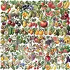 100 Peças de Adesivos Retro de Frutas e Plantas, Adesivos Transparentes DIY para Cadernos, Garrafas de Água, Decoração de Malas