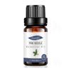 Empaque Completamente en Inglés Aceite Esencial Único de Árbol de Té para Fragancia de Velas DIY, Aceite Esencial de Árbol de Té, Aceite Esencial de Aromaterapia de Árbol de Té