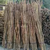 Suministrado Directamente por el Fabricante, Troncos de Madera Huangniu, Madera Dura Natural, Diversas Especificaciones de Madera para Jaulas de Pájaros, Materiales de Decoración para Jardinería, Longitud 2-3m Metros