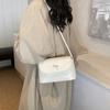 Textive Bolso Pequeño para Mujer 2024 Verano Nuevo Estilo Distintivo Ins Bolso Cruzado Moderno Sencillo Hombro Axila Bolso Cuadrado Pequeño