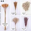 Bouquets de Flores Secas Fabricante Transfronterizo de Amazon Venta al por Mayor Pequeños Manojos Mixtos de Juncos Pequeños, Hierba Cola de Conejo y Bouquets de Flores Secas