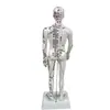 Fengfan 40cm Modelo de cuerpo humano de puntos de acupuntura de medicina china mapa de los doce meridianos modelo de puntos de acupuntura del cuerpo humano de cobre piel humana pequeña