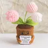 Plantas en Maceta Tejidas a Crochet de Lana Terminadas Transfronterizas Tarjetas Positivas de Ánimo Emocional Muñecos de Plantas Adornos de Escritorio Ramos en Maceta