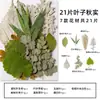 Espécimes de Plantas com Folhas Reais de Outono, Adesivos Artesanais, Flores Secas, Flores Prensadas, Pinturas Decorativas de Folhas DIY, Marcadores de Página de Plantas