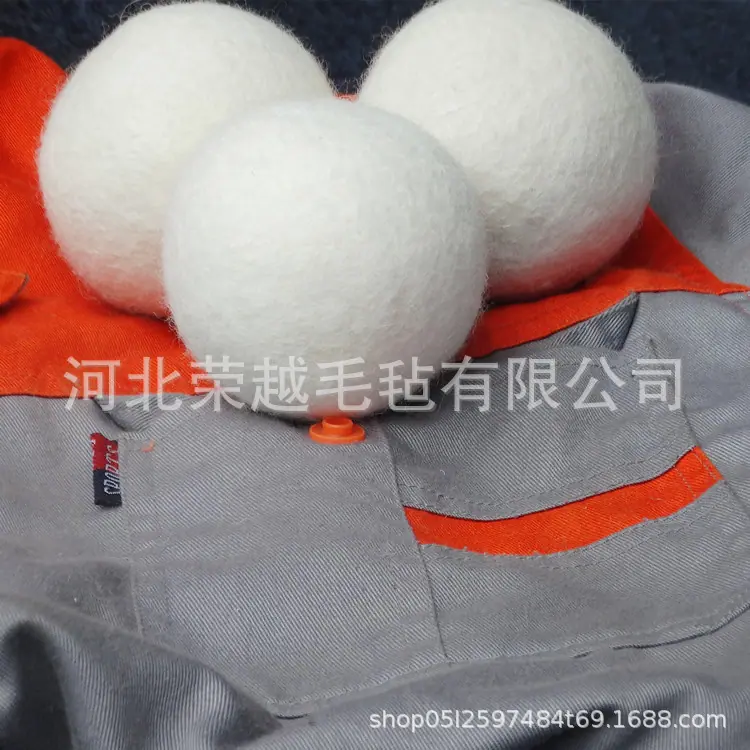 DSC06843_副本.jpg