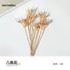 Materiais para Artesanato DIY de Flores Eternas no Atacado, Flores Secas, Frutas Secas, Rodelas de Laranja, Pinhas, Adereços para Fotografia de Flores, Materiais para Artesanato DIY de Jardim de Infância
