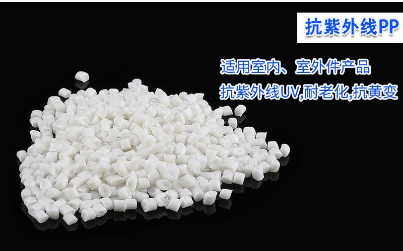 PP定制_05.jpg