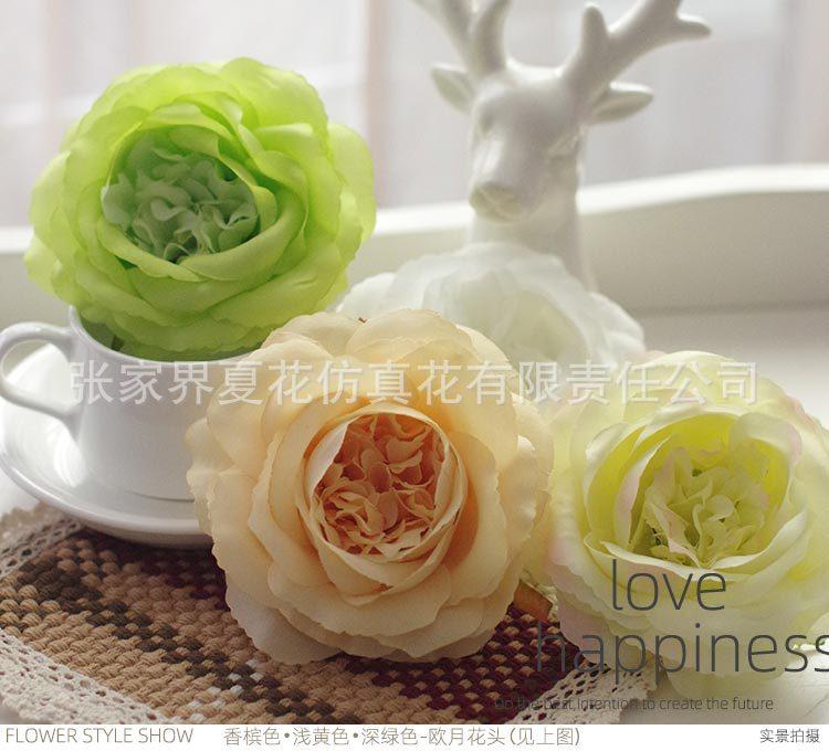 欧月花头_22.jpg