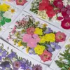 33 Piezas de Combinación con Relieve, Se Pueden Usar para Calcomanías Hechas a Mano, Fundas de Teléfono Secadas con Pegamento, Velas de Aromaterapia, Producción Creativa de Flores, Decoración del Hogar, Regalos de Acción de Gracias y Navidad