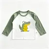 Camisetas de Algodão Puro Infantis para Primavera e Outono de Manga Longa, Tops de Outono para Meninos, Para Usar Sozinho, Camisetas Básicas para Meninos e Meninas, Tops Estilo Infantil