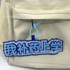 Colgante de Bolsa de Tela No Tejida Estilo Tiktok Texto Divertido Decoración Colgante Adorno de Fieltro Creativo de Moda