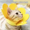 Anel elizabeth feltro coleira pet gato pós-operatório anti-lambida anel de vergonha girassol coleira elizabeth