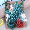 Día de la Madre Flor Eterna A5 Paquete de Material de Tablero de Flores en Relieve Marco de Fotos DIY Abanico Sombrero de Paja Material de Flores Flores Secas