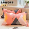 Fundas de Almohada Cepilladas de Algodón Puro Estilo Nuevo, un Par para Estudiantes, Fundas de Almohada 100% Algodón 48X74, Funda Interior para Relleno de Almohada Estilo Nuevo