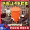 Alimentador Automático para Patos, Gansos y Pollos, Dispositivo de Alimentación para Aves de Corral