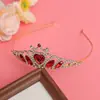 Acessório de Cabeça Coroa Infantil para Meninas de Dez Anos, Acessórios de Cabelo para Apresentação de Aniversário, Coroa de Princesa para Apresentadora, Acessórios de Cabelo para Florista de Casamento
