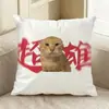 Almofada de Gato Idoso de Cabeça Redonda Hakimi Almofada de Gato Criativa Dupla Face Almofada de Sofá de Gato Meme Fabricante Original