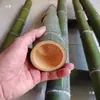 Tubos de Bambú Verde, Cañas de Bambú Huecas, Herramientas para Manualidades DIY para Jardín de Infancia, Tubos de Bambú Crudo
