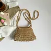 Bolso Tejido de Malla Estilo Coreano Transfronterizo para Mujer 2026 Nuevo Calado Bolso de Playa para Vacaciones de Verano Bolso de Hombro Cruzado