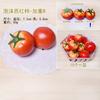 Modelo de simulación de vegetales, pepino falso ponderado, pepino de PU, lufa de plástico, berenjena, maíz, tomate, varias frutas