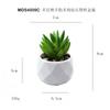 En existencia Simulación de dedos carnosos de bergamota Planta en maceta Decoración de escritorio Regalo Mini planta verde Bonsai TEMU Planta de simulación