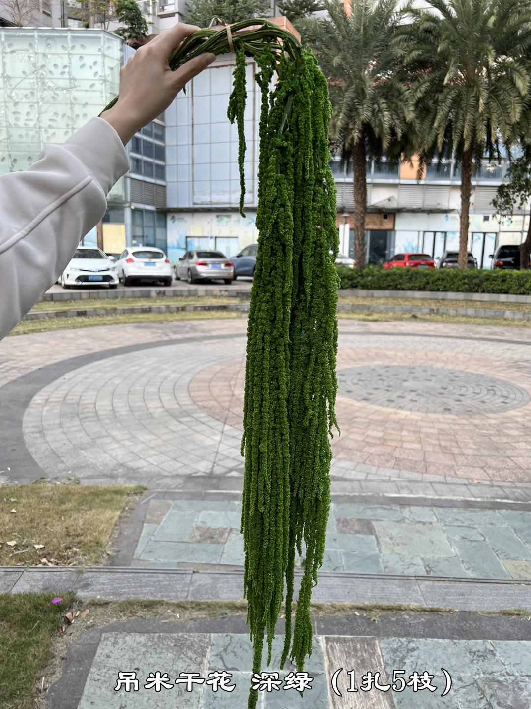 微信图片_20231214125423