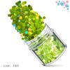 Kit de Unhas Verdes Transfronteiriço 12 Cores Misturadas Lantejoulas para Nail Art Laser Pó Escarlate Joias para Nail Art Broca Adesivo para Unha