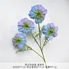 Ramo de Clemátide Artificial Estilo Europeo, Flores de Seda Artificial para Arreglos de Boda, Flores de Plástico con Acabado de Alta Gama para Decoraciones de Boda