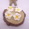 Fábrica direta de atacado de frangipani de cerâmica macia DIY pulseira colar joias de cabelo estilo viagem e vento materiais de flor artesanais