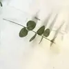 Ramo Único de Folhas de Eucalipto com Frutos, Decoração para Arranjo de Flores DIY, Folhas de Dinheiro Artificiais, Folhas Decorativas de Eucalipto com Frutos para Vendas Transfronteiriças