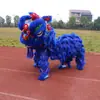 Juego Completo de Accesorios para Danza del León de Adulto, Suministros para Danza del León de Foshan, Cabeza de León del Sur para Danza del León, Juego Completo de Accesorios para Danza del León de Doble Cabeza