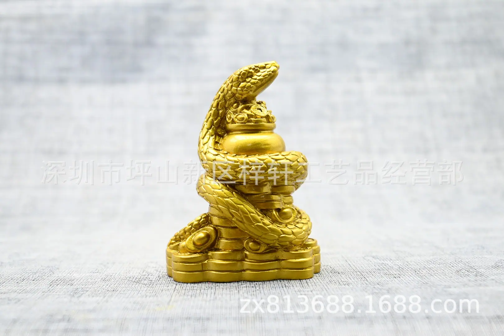6蛇反面.JPG
