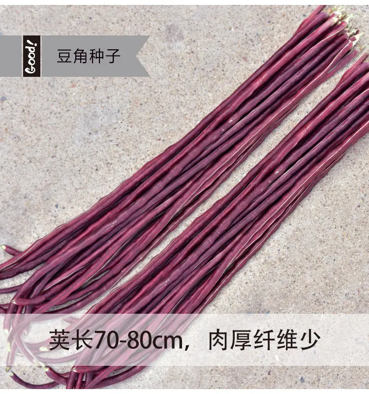 春秋红03-4
