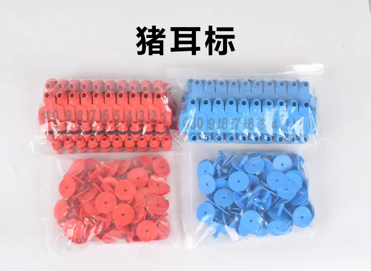 详情2.jpg