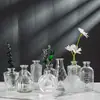 Estilo INS europeo al por mayor nuevo jarrón de cristal hidropónico botella de aromaterapia mini jarrón para sala de estar adorno de interior arreglo floral