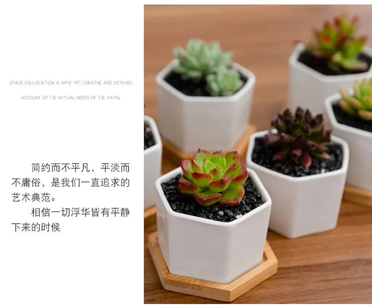 花盆18_07.jpg