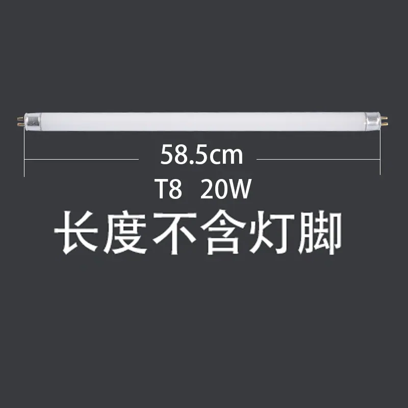 T8    20w