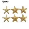 Wt-P2081 Pingente Único e Fofo de Estrela do Mar Joias de Latão Brincos DIY Feitos à Mão Colar Acessórios Pequenos Semi-Acabados