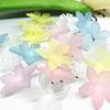 Flor de Cinco Pétalas Fosca em Acrílico Grampo de Cabelo Hanfu Antigo Adorno de Cabeça Corrente para Celular Capa de Celular Acessórios para Joias DIY