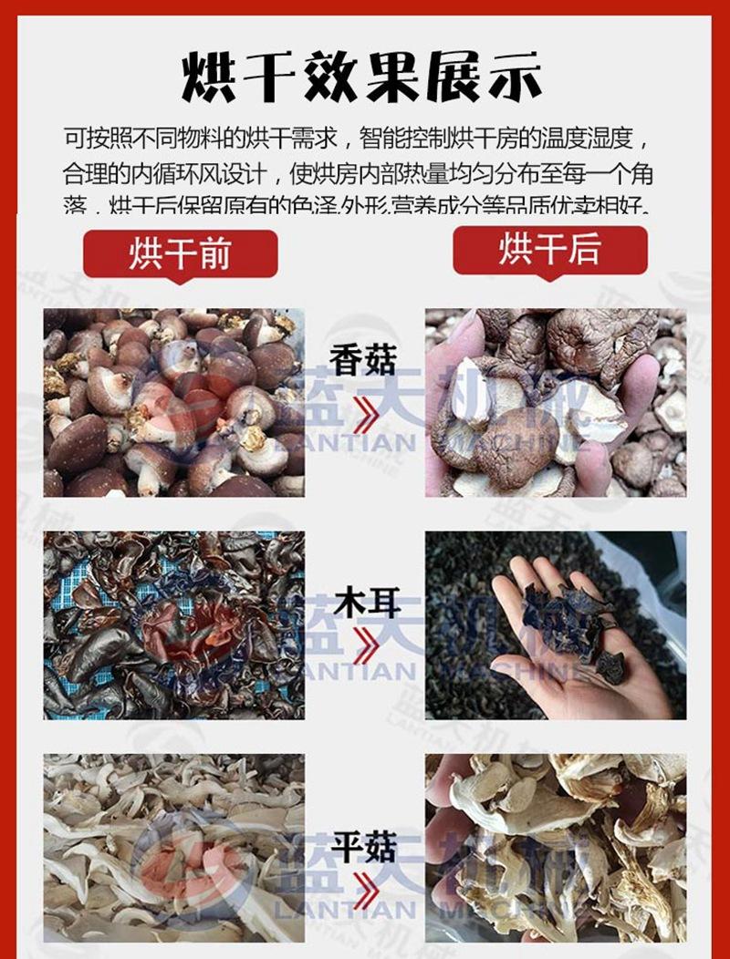 详情_01-1.jpg