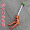 Tijeras de Podar para Rosas, Tijeras para Flores, Podadoras de Brotes, Tijeras para Recolectar Rosas, Tijeras para Naranjas y Limones, Tijeras de Podar