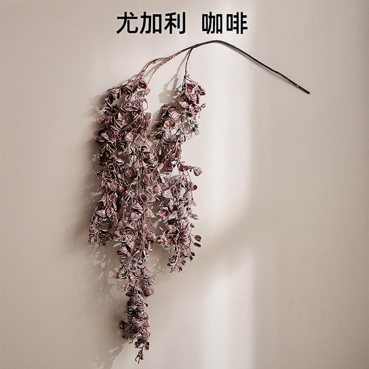 尤加利  咖啡