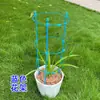 Suporte Retrátil de Treliça de Múltiplas Camadas para Plantas Trepadeiras, Rosas, Orquídeas Garra de Caranguejo e Plantas Verdes para Varanda e Uso Interno