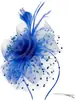 Amazon Shein Tocado de Plumas Accesorios Europeos y Americanos para el Cabello de Novia Flor en el Cabello Tocado para Carreras de Caballos Sombrero de Copa Retro de Malla