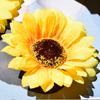 Girasol, flor artificial, crisantemo, flor eterna, girasol, flor artificial, conjunto de fotografía, flor, decoración del hogar, flor